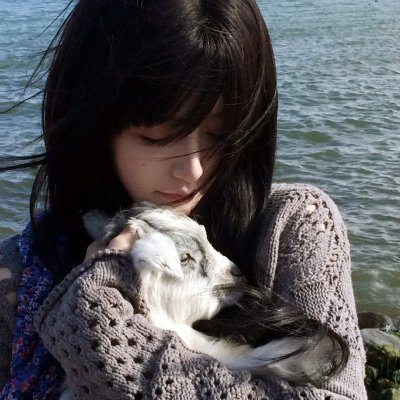 凶鳄